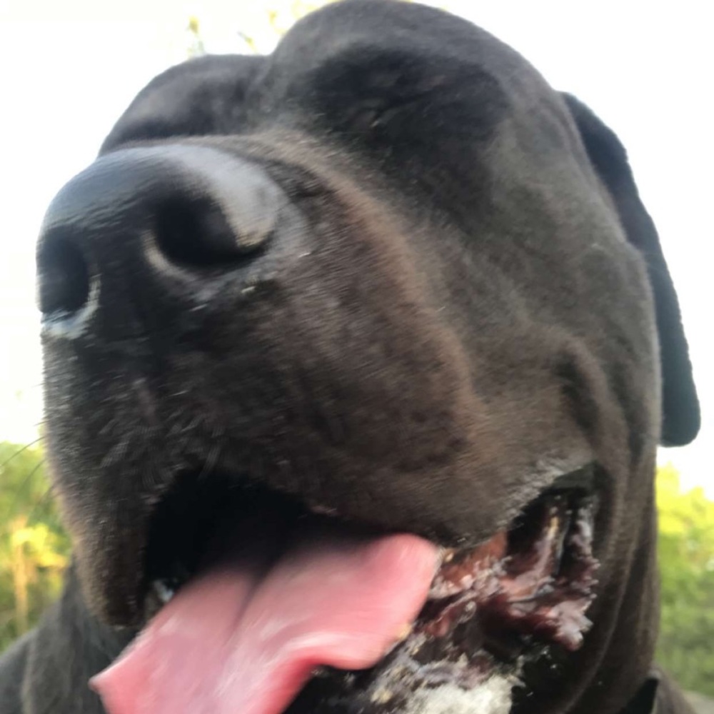 Meet your Posher, Nina